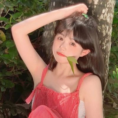 西游志手游果盘版下载